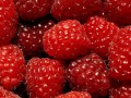 Maline