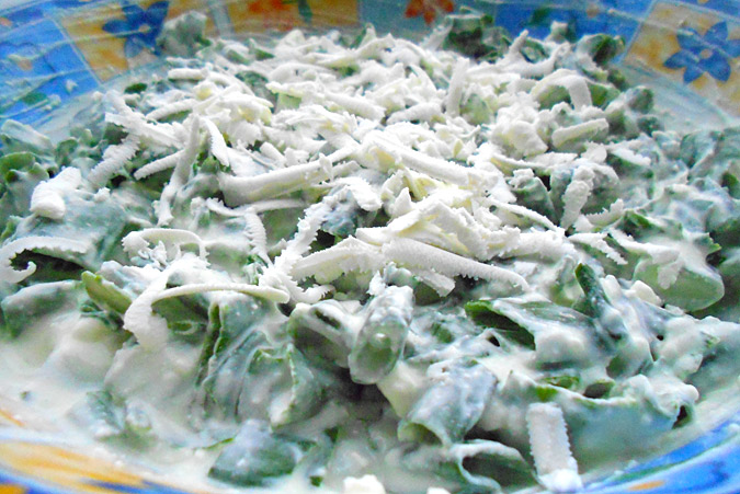 Salata od peraja mladog crnog luka