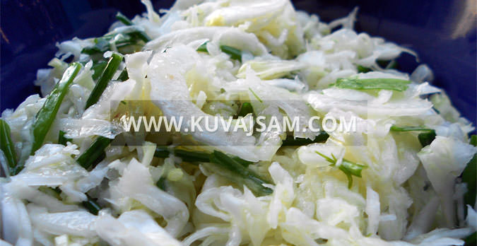 Salata od slatkog kupusa, anisa i vlašca (foto: kuvajsam.com)