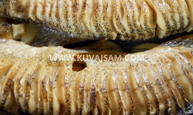Pečena štuka (foto: kuvajsam.com)