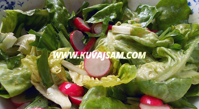 Zelena salata sa rotkvicama (foto: kuvajsam.com)